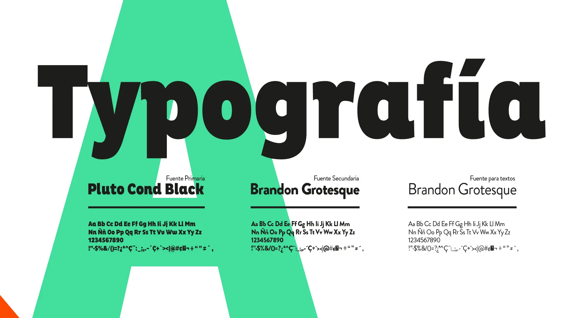 Imagen proyecto amores pollo