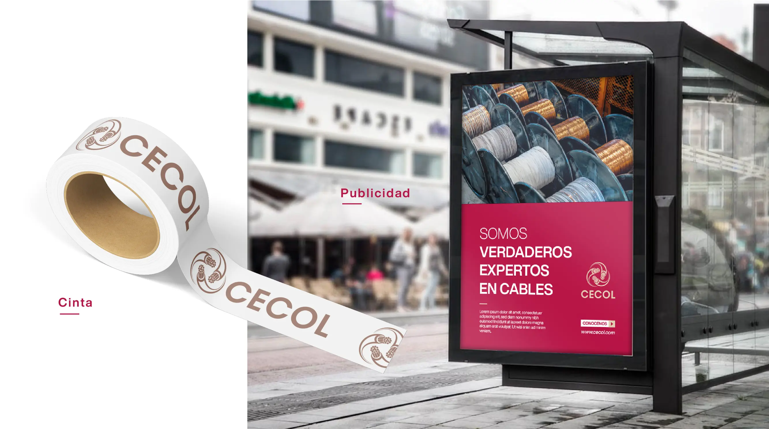 Imagen proyecto cecol