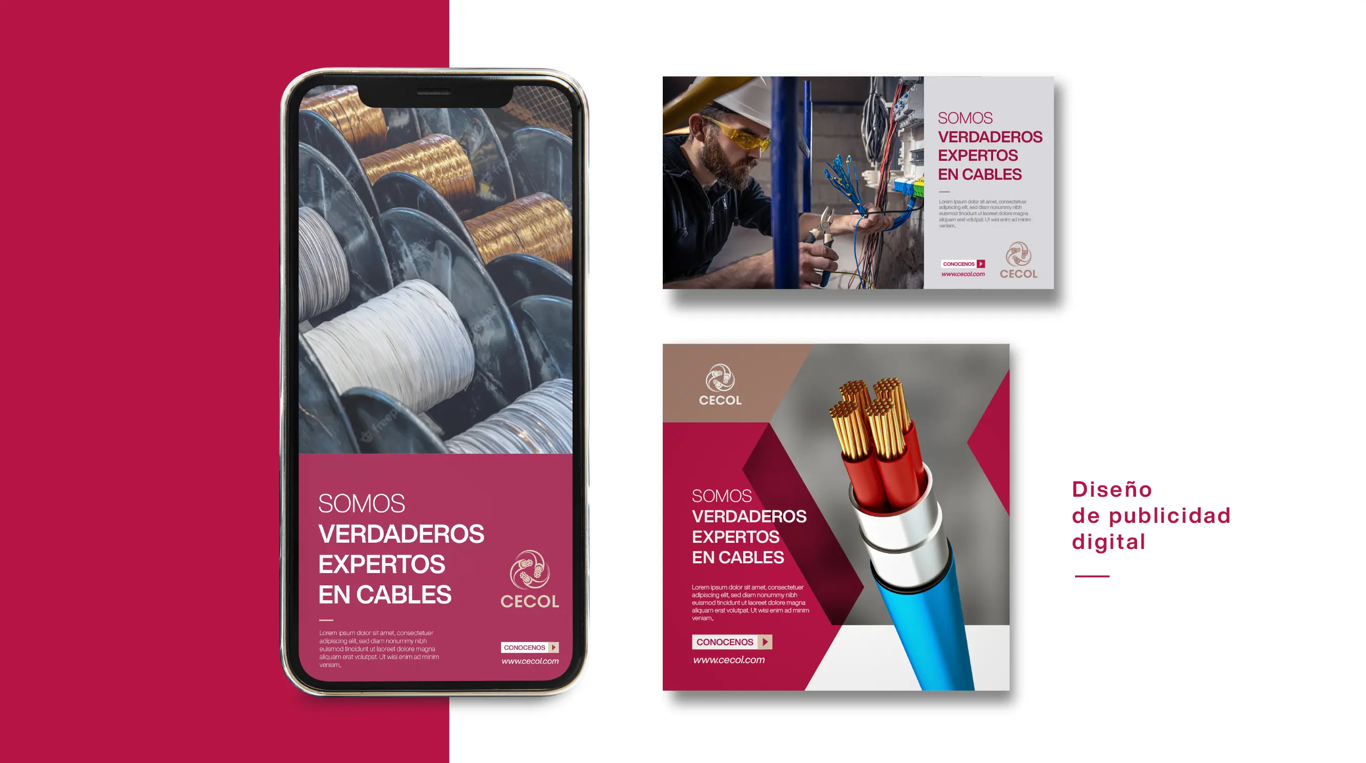 Imagen proyecto cecol