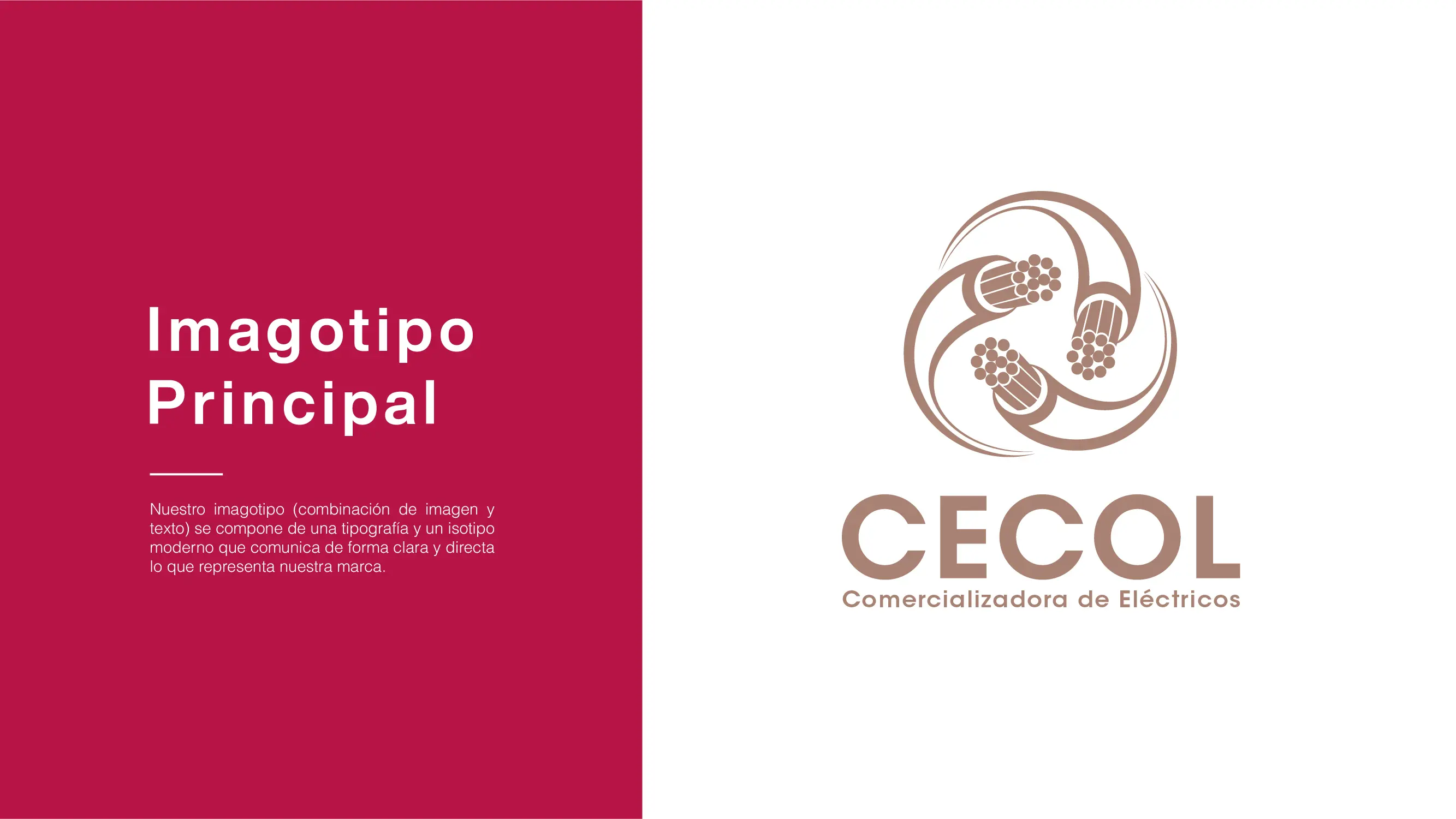 Imagen proyecto cecol