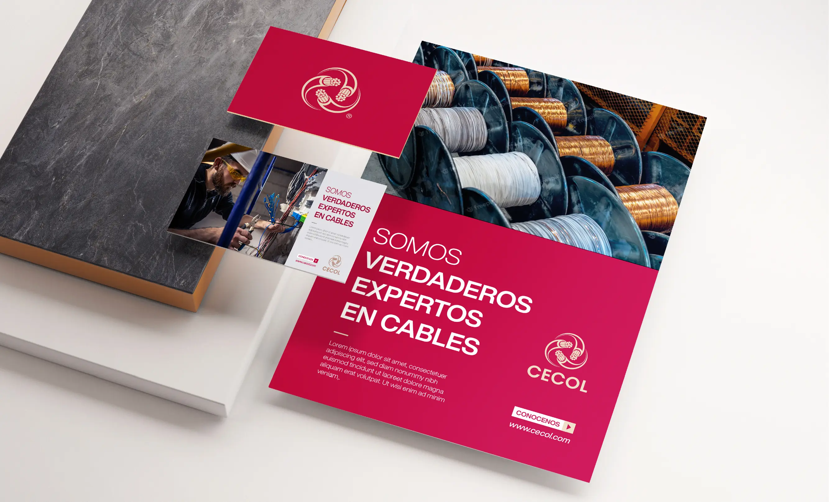 Imagen proyecto cecol