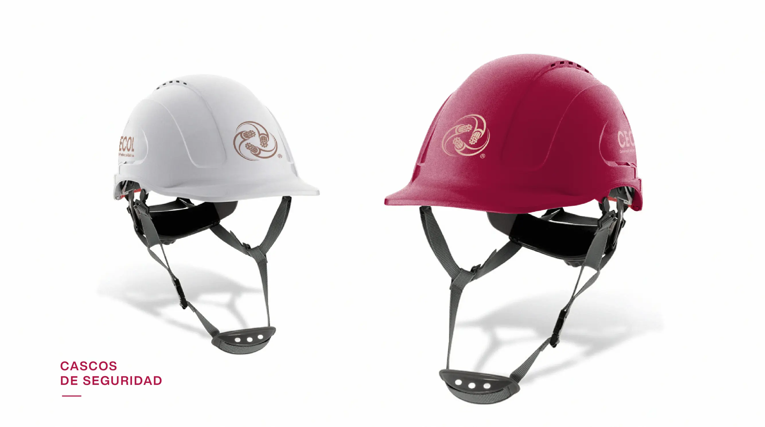 Imagen proyecto cecol