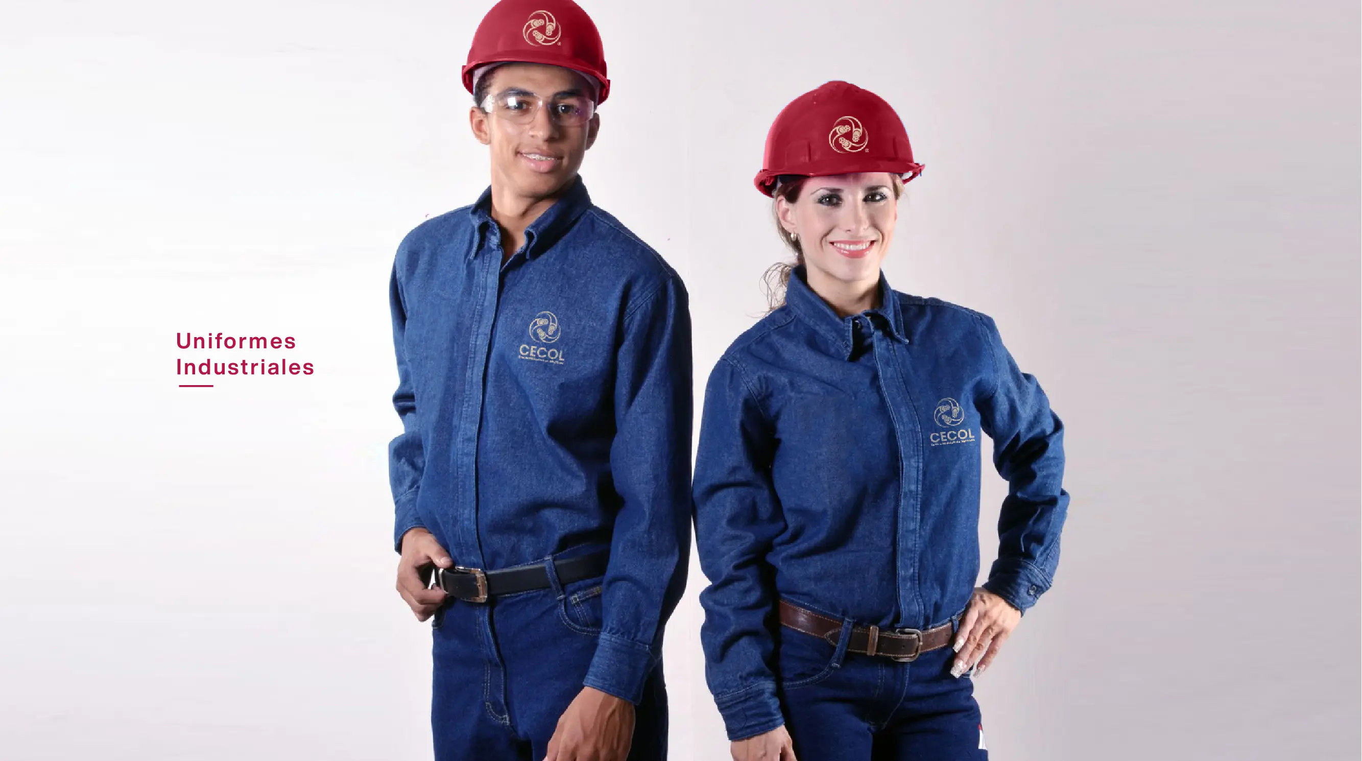 Imagen proyecto cecol