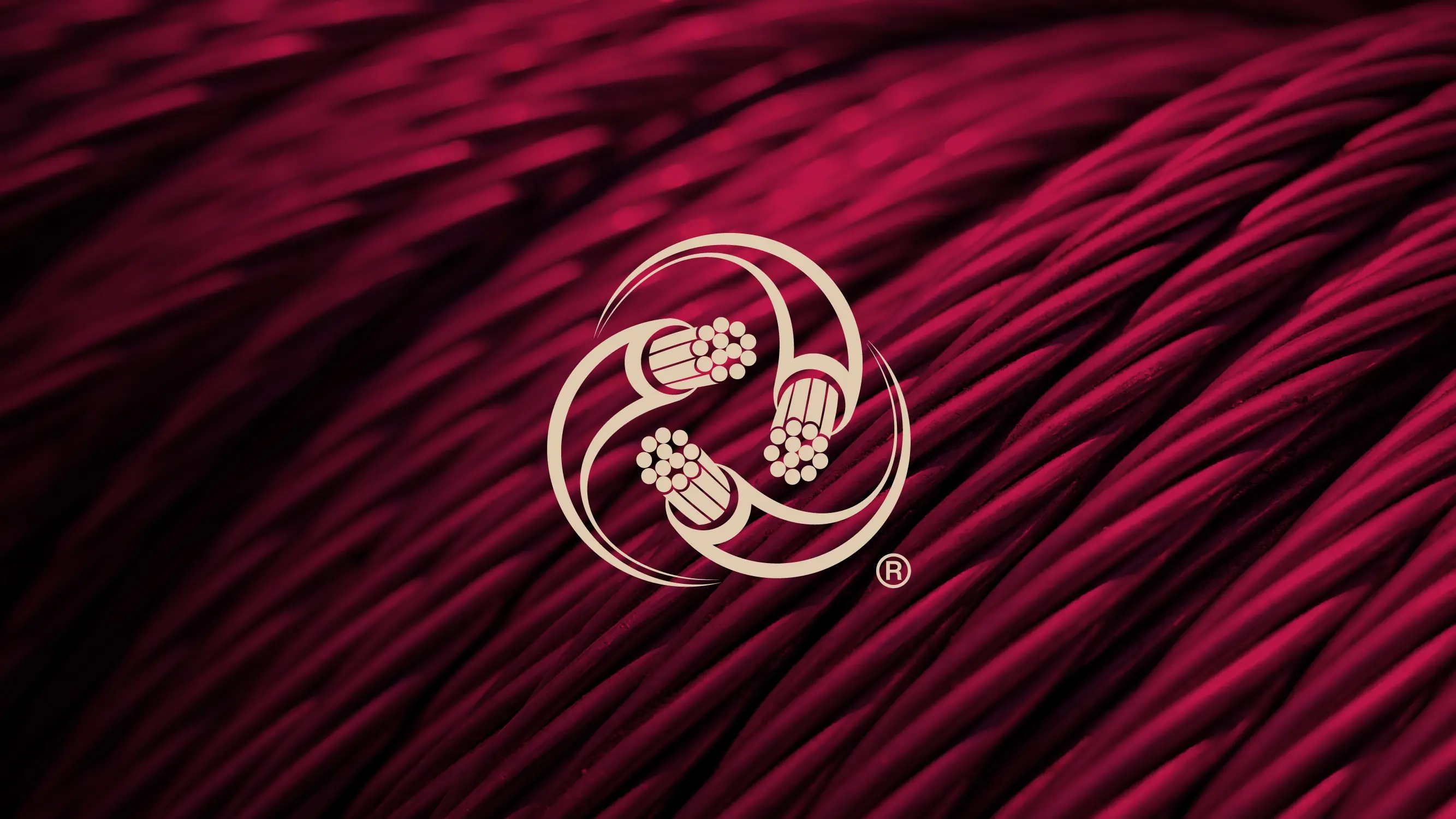 Imagen principal proyecto cecol