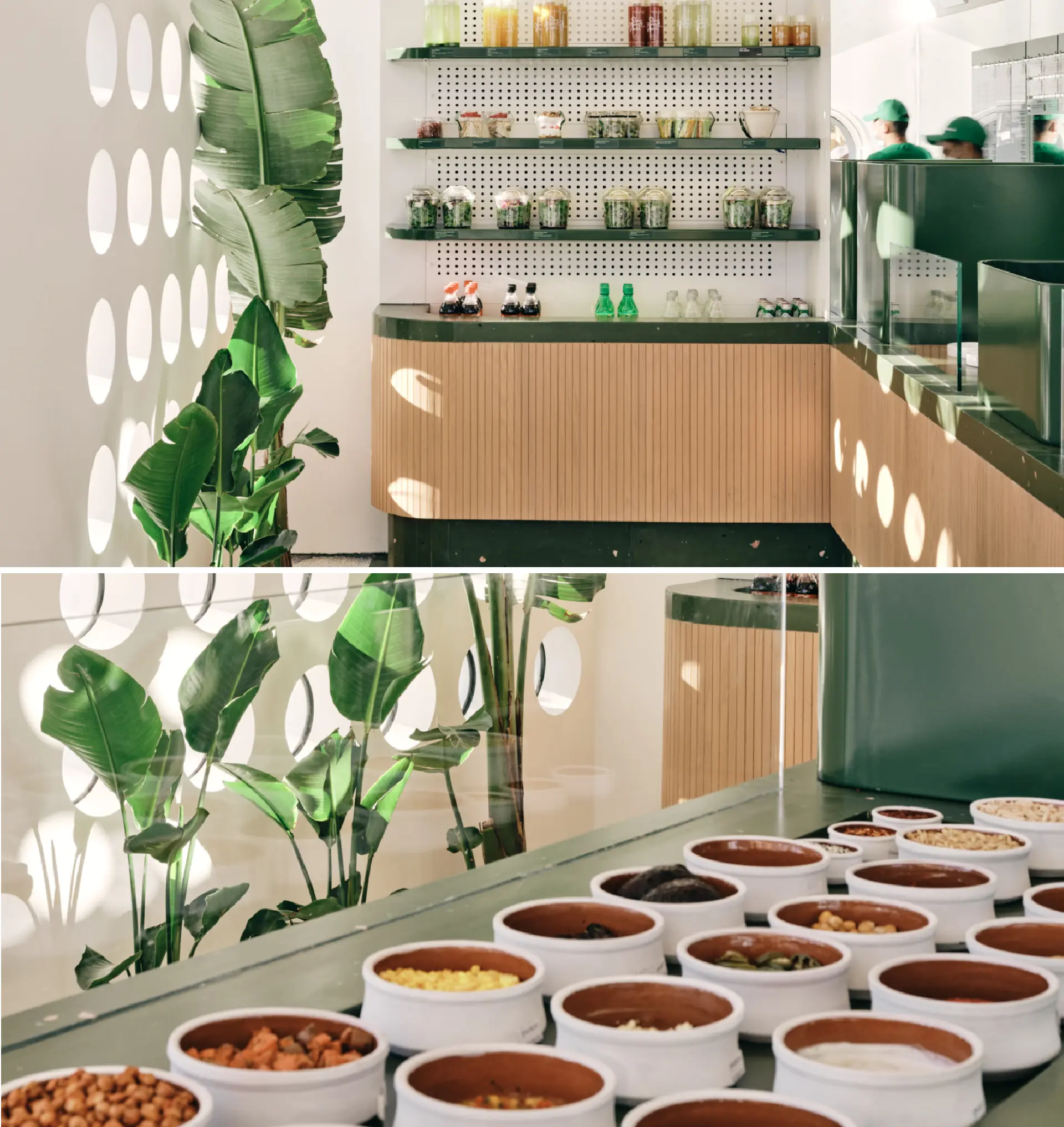 Imagen proyecto celeste