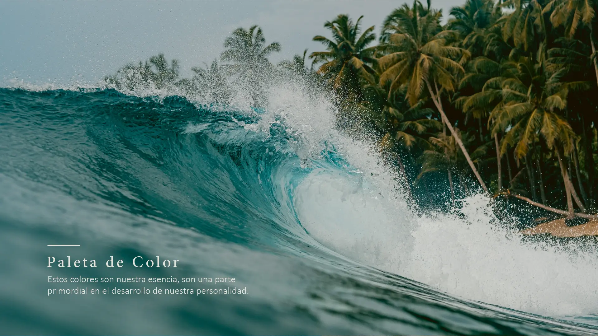 Imagen proyecto coralia