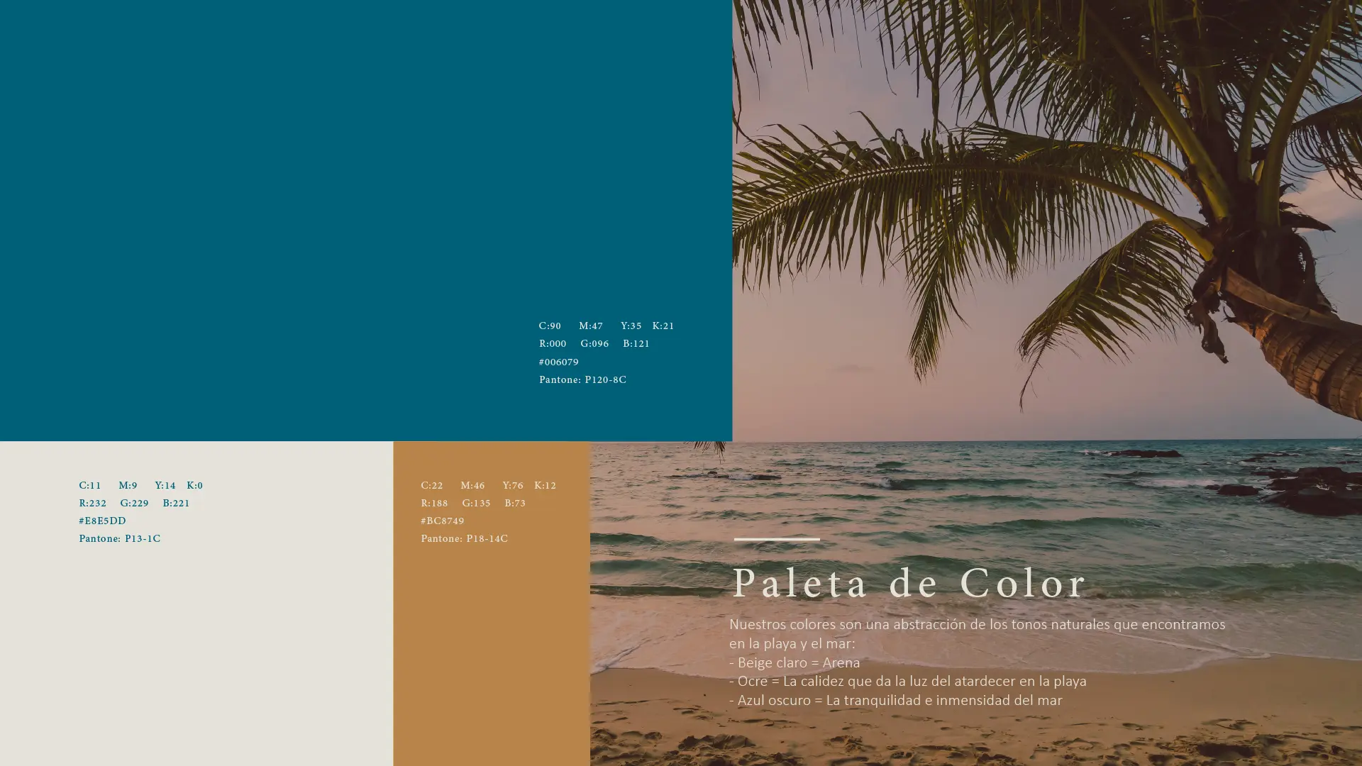 Imagen proyecto coralia