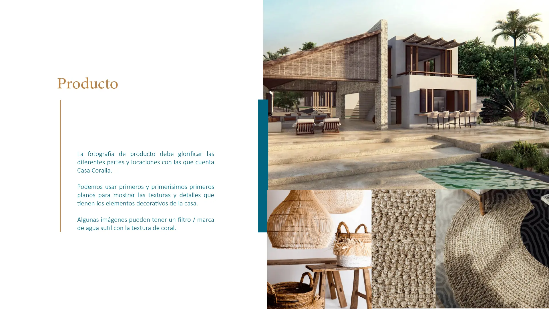 Imagen proyecto coralia