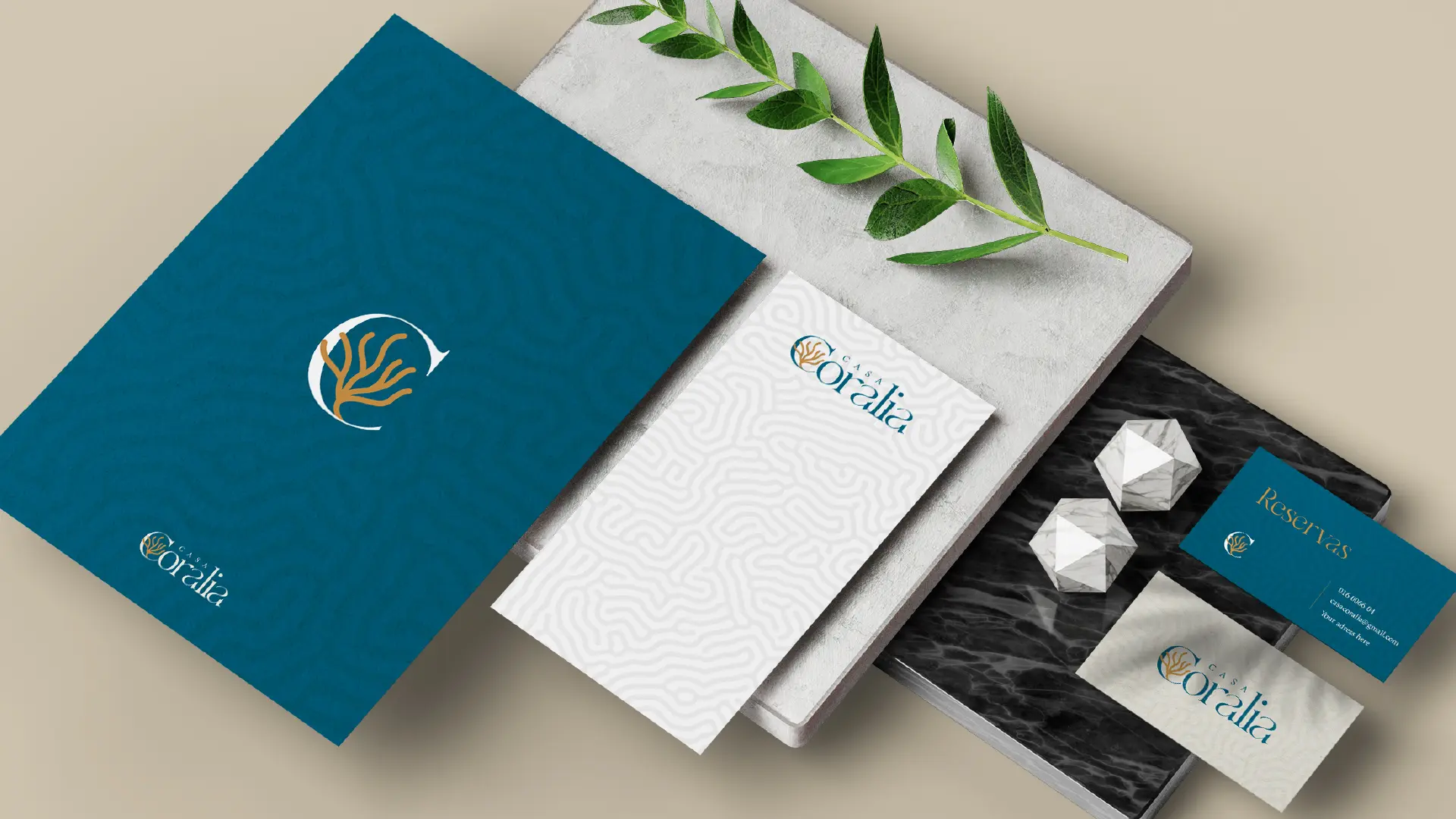 Imagen proyecto coralia